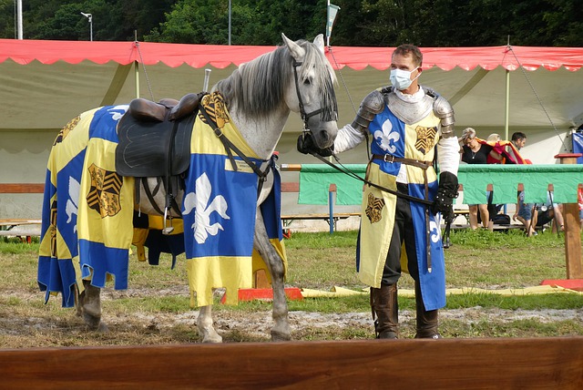 的拉齊奧而 的拉齊奧而