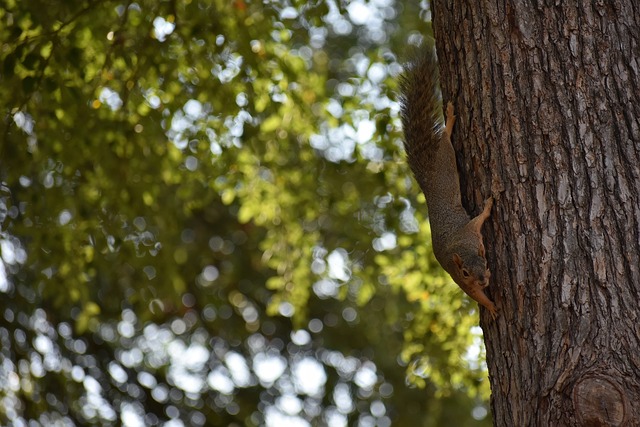 各种战术和 各种战术和