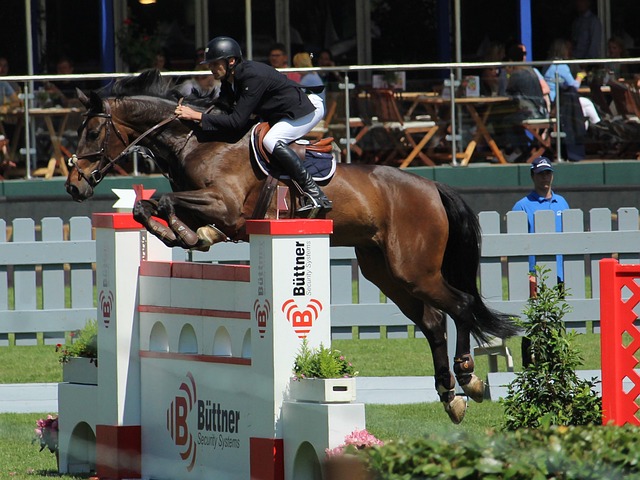 皇马需要面 皇马需要面