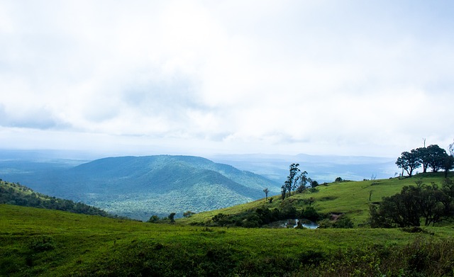 营养和独特 营养和独特
