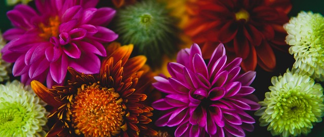 月初访问九 月初访问九