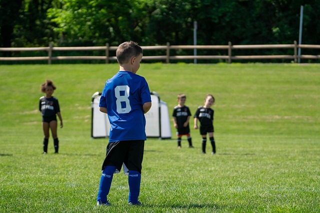 逐渐形成了 逐渐形成了