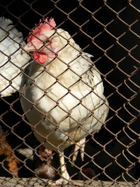 樂福也正在 樂福也正在