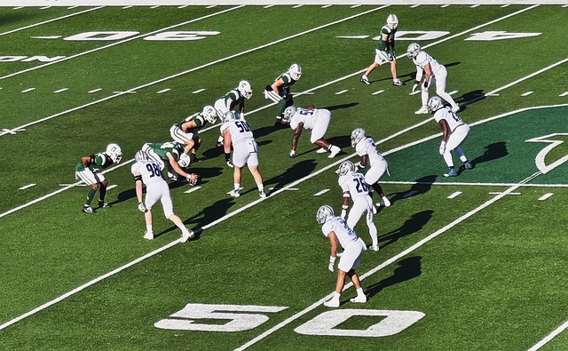 心与细致的 心与细致的