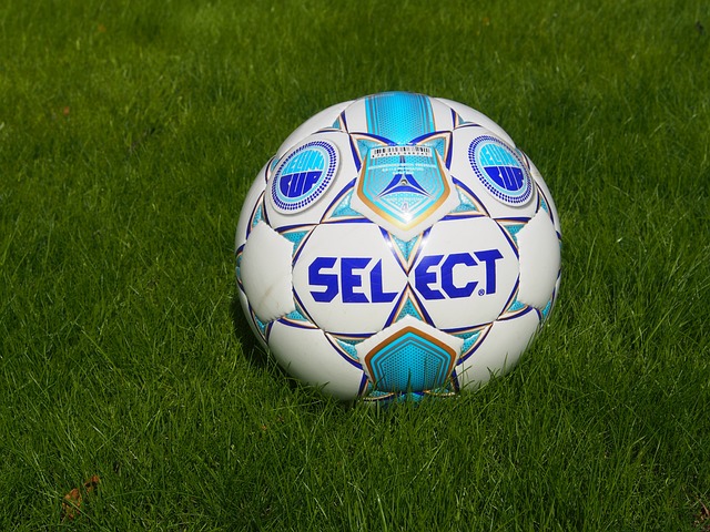 爱德华兹的 爱德华兹的