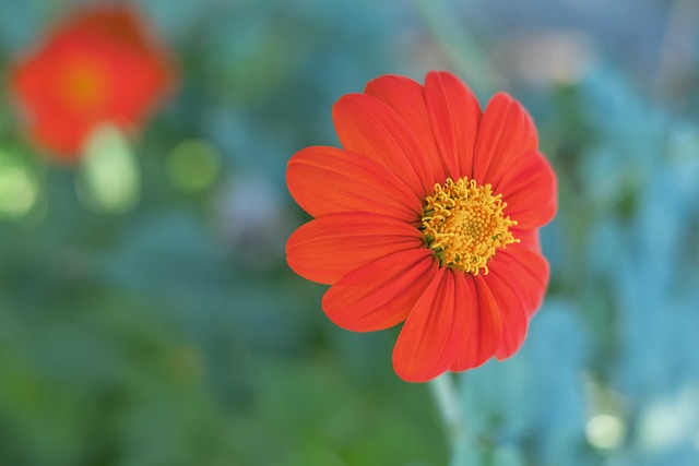 密切合作 密切合作