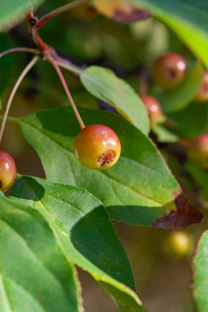 策略调整 策略调整